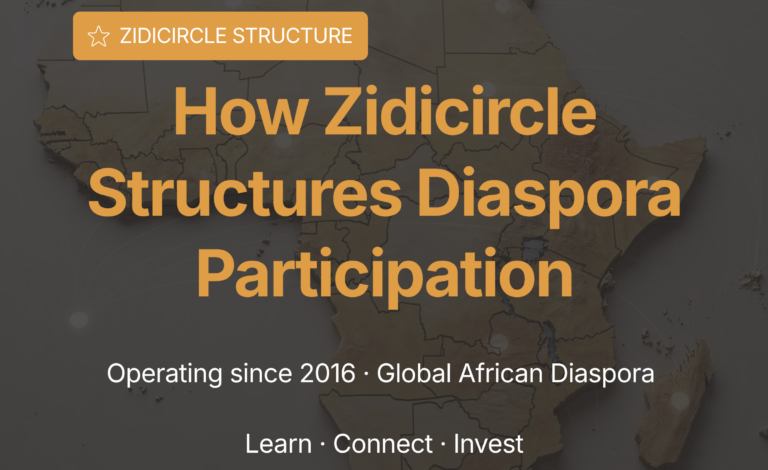 How Zidicircle is Structuring Diaspora Participation in African SMEs